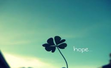 Đừng bao giờ từ bỏ hy vọng